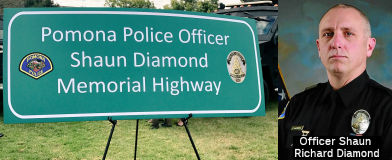 Shaun Diamond