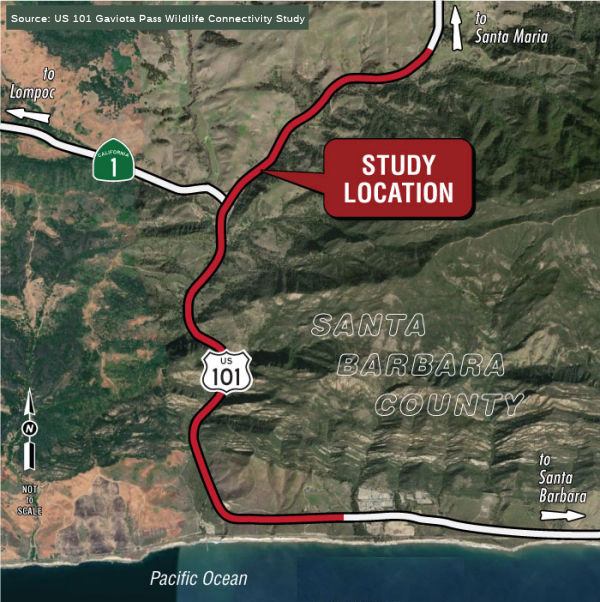Gaviota Wildlife Crossing Study